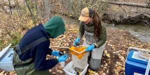 stream and lake sampling
