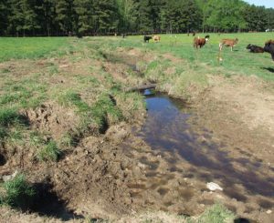 agricultural run-off