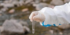 collecting water sample from stream